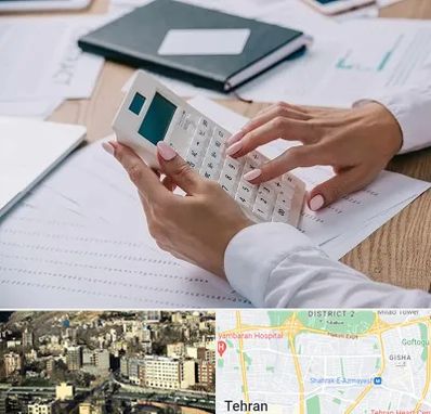 شرکت حسابرسی در مرزداران 