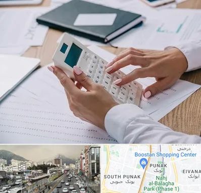 شرکت حسابرسی در پونک 