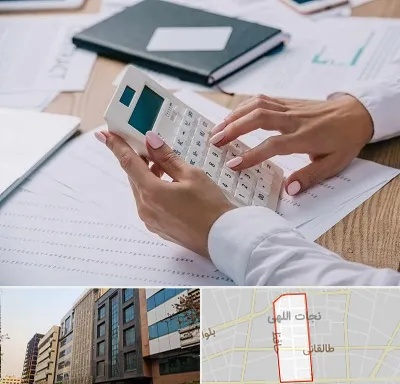 شرکت حسابرسی در نجات اللهی