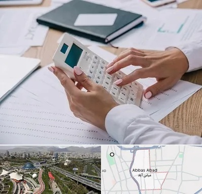 شرکت حسابرسی در عباس آباد تهران