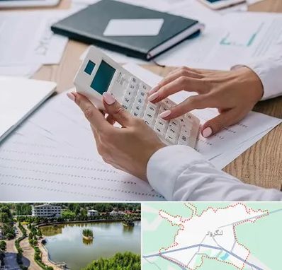 شرکت حسابرسی در لنگرود