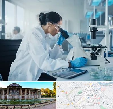 آزمایشگاه HPV در عفیف آباد شیراز