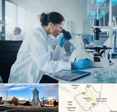 آزمایشگاه HPV در تایباد