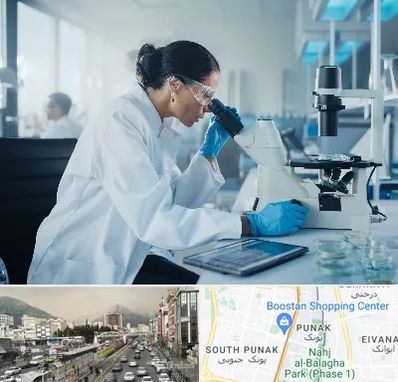 آزمایشگاه HPV در پونک 