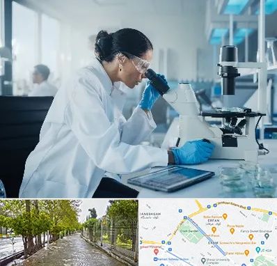 آزمایشگاه HPV در خیابان ارم شیراز