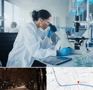 آزمایشگاه HPV در ابوریحان تبریز