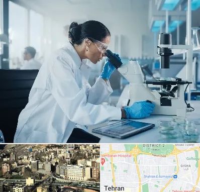 آزمایشگاه HPV در مرزداران 