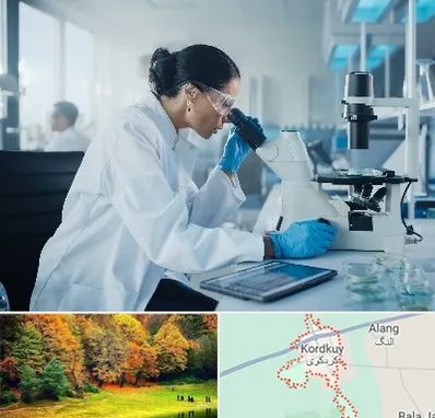 آزمایشگاه HPV در کردکوی