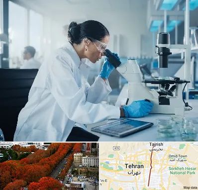 آزمایشگاه HPV در ولیعصر 