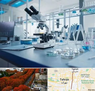 آزمایشگاه زگیل تناسلی در ولیعصر 