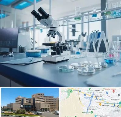 آزمایشگاه زگیل تناسلی در صیاد شیرازی مشهد
