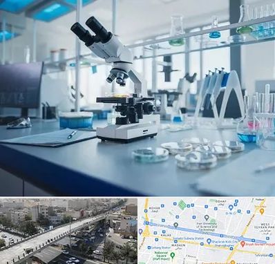 آزمایشگاه زگیل تناسلی در فرجام