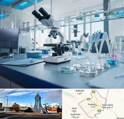 آزمایشگاه زگیل تناسلی در تایباد