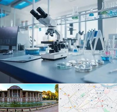 آزمایشگاه زگیل تناسلی در عفیف آباد شیراز