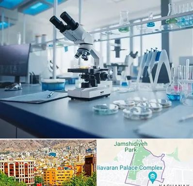 آزمایشگاه زگیل تناسلی در نیاوران 