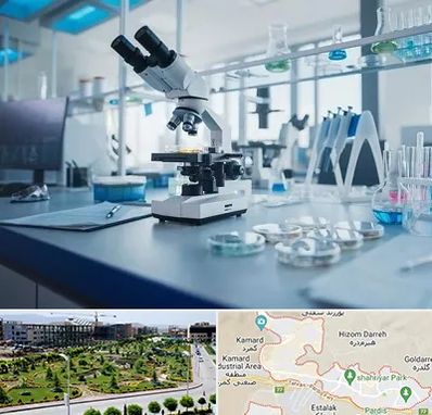 آزمایشگاه زگیل تناسلی در پردیس