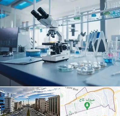 آزمایشگاه زگیل تناسلی در سعادت آباد 