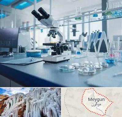 آزمایشگاه زگیل تناسلی در میگون