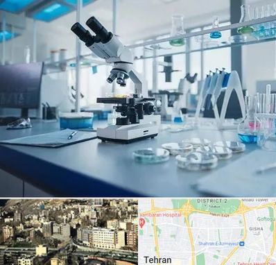 آزمایشگاه زگیل تناسلی در مرزداران 