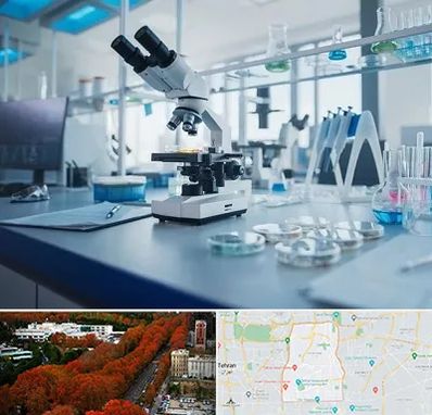 آزمایشگاه زگیل تناسلی در منطقه 6 تهران 