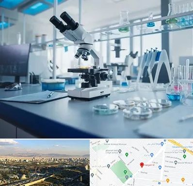 آزمایشگاه زگیل تناسلی در هنگام 