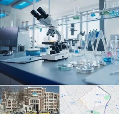 آزمایشگاه زگیل تناسلی در طلاب مشهد