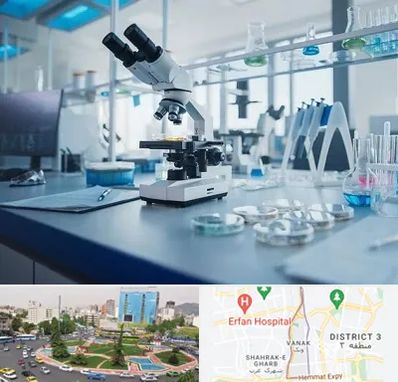 آزمایشگاه زگیل تناسلی در ونک 