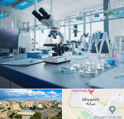 آزمایشگاه زگیل تناسلی در میانه