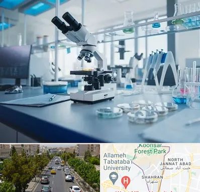 آزمایشگاه زگیل تناسلی در شهران 