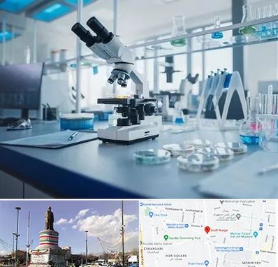 آزمایشگاه زگیل تناسلی در کارگر جنوبی 