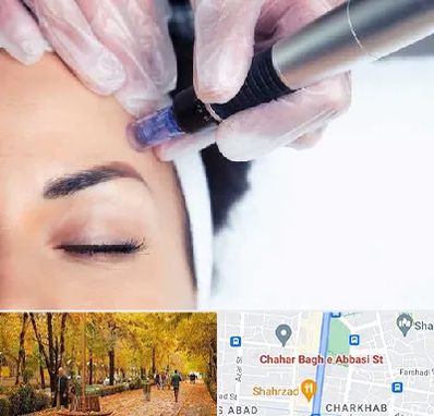 کلینیک مزوتراپی صورت در چهارباغ اصفهان