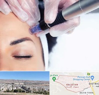 کلینیک مزوتراپی صورت در شهرک گلستان شیراز