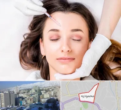 مزوتراپی ابرو در محمودیه