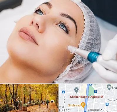 مزونیدلینگ در چهارباغ اصفهان