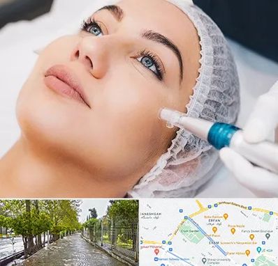 مزونیدلینگ در خیابان ارم شیراز