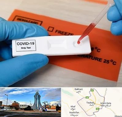 آزمایشگاه کرونا در تایباد
