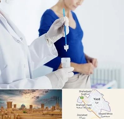 آزمایشگاه پاپ اسمیر در یزد