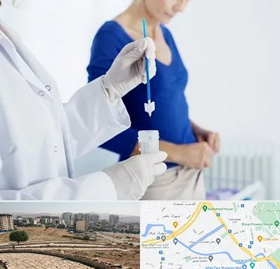 آزمایشگاه پاپ اسمیر در کوی وحدت شیراز