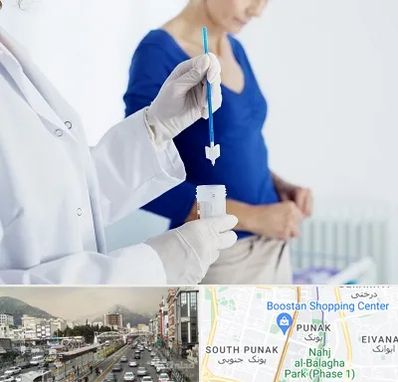 آزمایشگاه پاپ اسمیر در پونک 