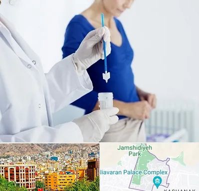 آزمایشگاه پاپ اسمیر در نیاوران 