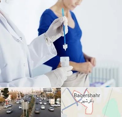 آزمایشگاه پاپ اسمیر در باقرشهر