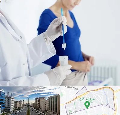 آزمایشگاه پاپ اسمیر در سعادت آباد 