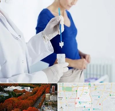 آزمایشگاه پاپ اسمیر در منطقه 6 تهران 