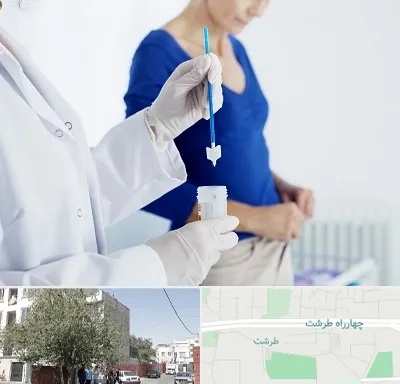 آزمایشگاه پاپ اسمیر در طرشت