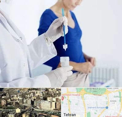 آزمایشگاه پاپ اسمیر در مرزداران 