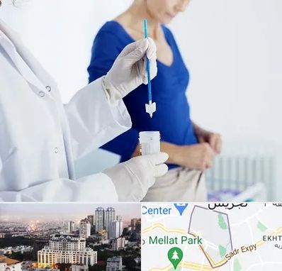 آزمایشگاه پاپ اسمیر در الهیه 