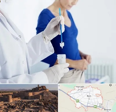 آزمایشگاه پاپ اسمیر در بم