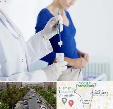 آزمایشگاه پاپ اسمیر در شهران 