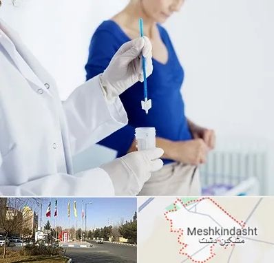 آزمایشگاه پاپ اسمیر در مشکین دشت