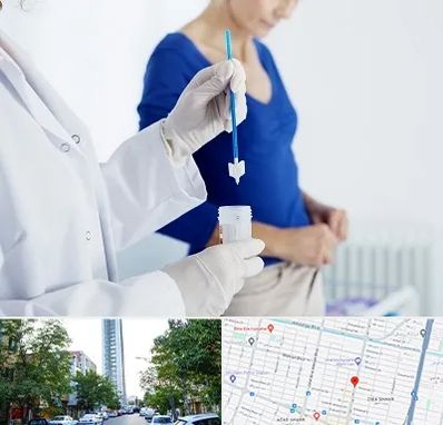 آزمایشگاه پاپ اسمیر در امامت مشهد